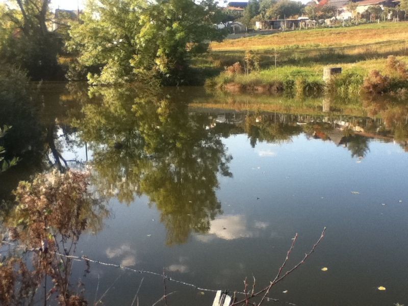 Etang